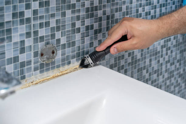 Best Certified Mold Removal  in Mesquite, NV